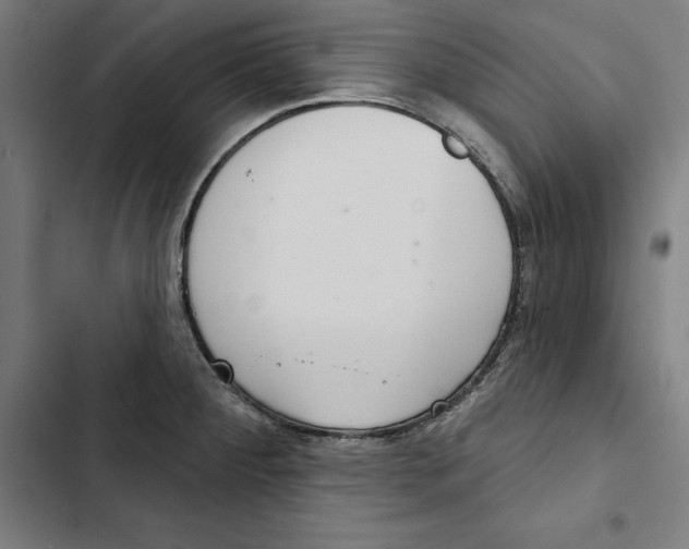 X0000102501284200809051337