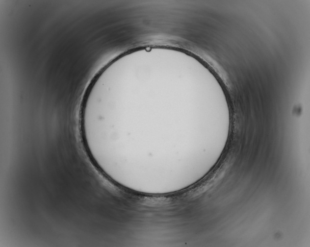 X0000102501285200809051337