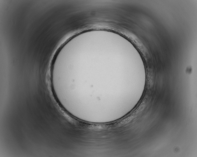 X0000102501286200809051337