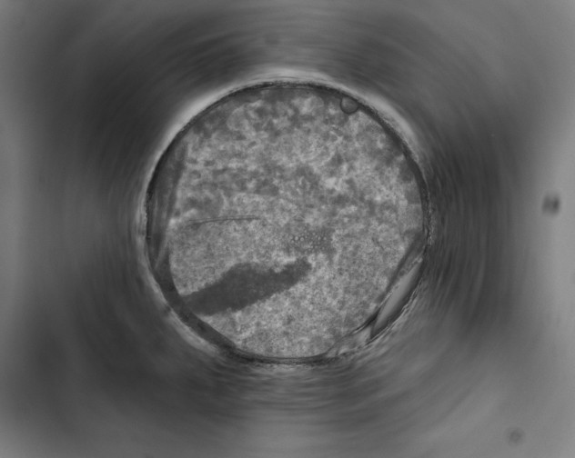 X0000102501287200809051337