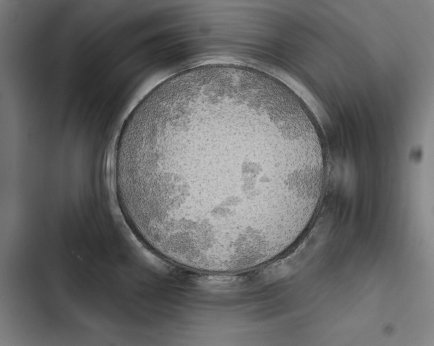 X0000102501290200809051337