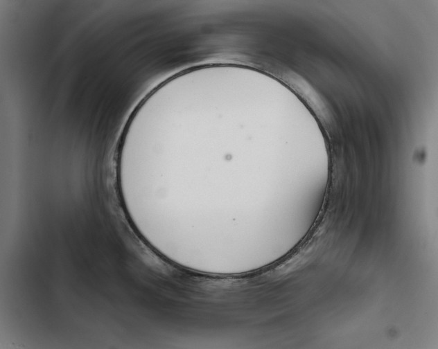 X0000102501292200809051337