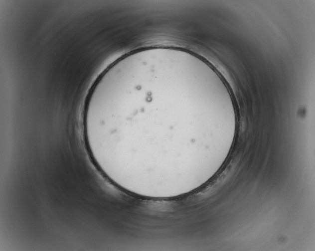 X0000102501293200809051337