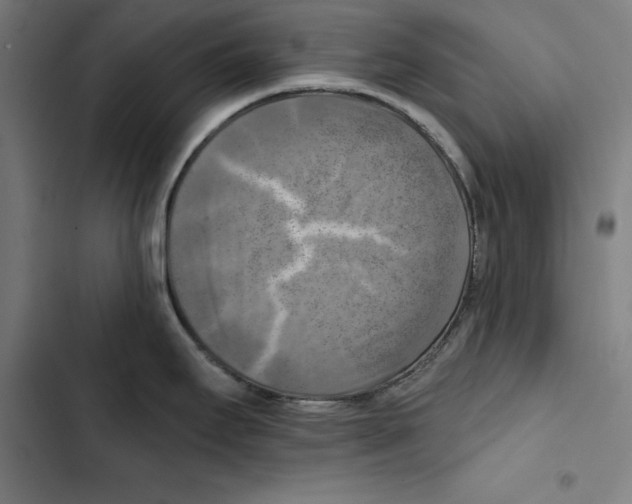 X0000102501295200809051337