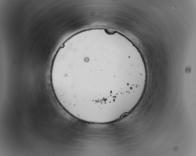 X0000102501296200809051337