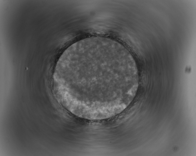 X0000102501297200809051336