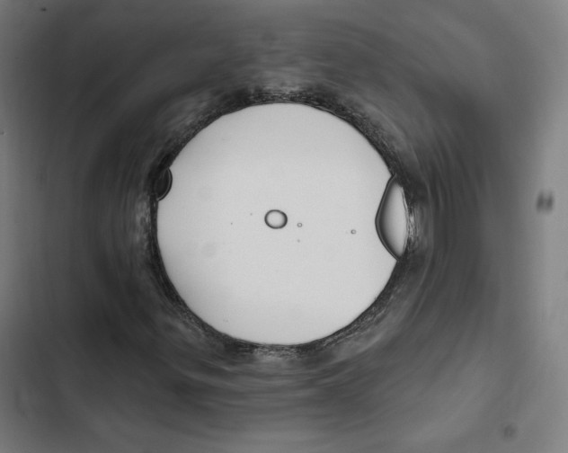 X0000102501299200809051336