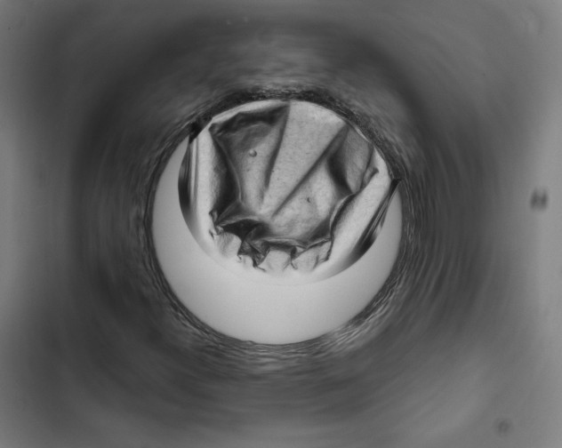 X0000102501300200809051336