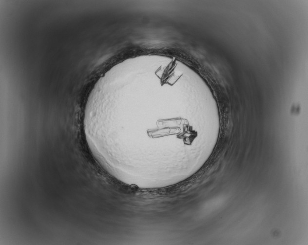 X0000102501301200809051336