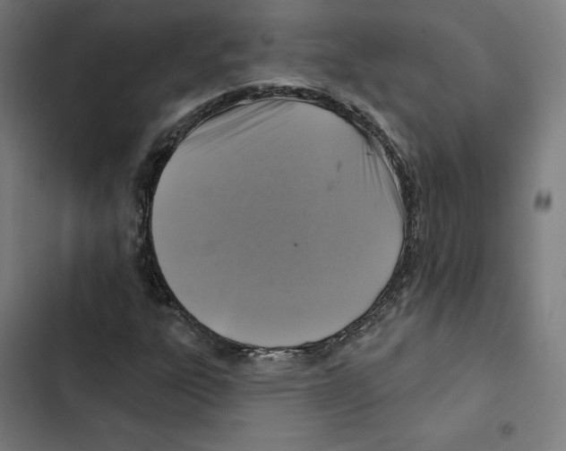 X0000102501303200809051336