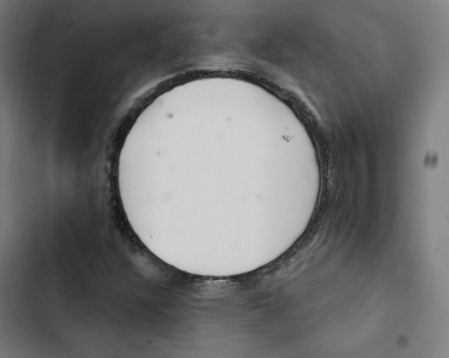 X0000102501304200809051336