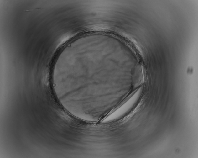 X0000102501306200809051336