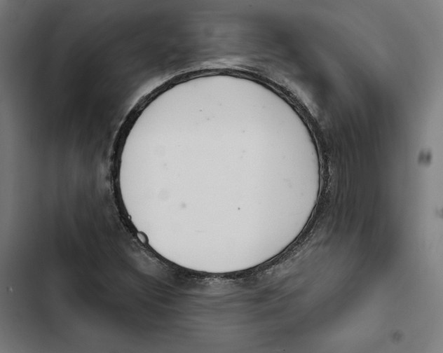 X0000102501308200809051336