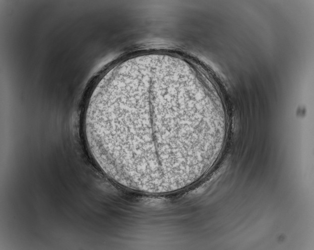 X0000102501309200809051336