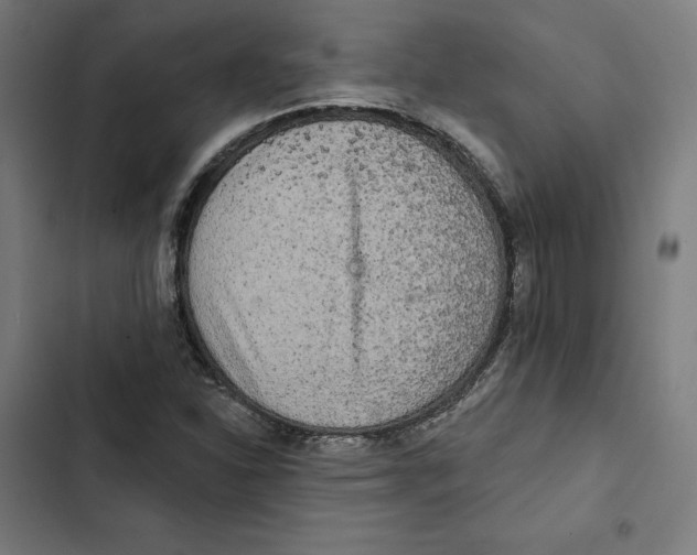 X0000102501310200809051336