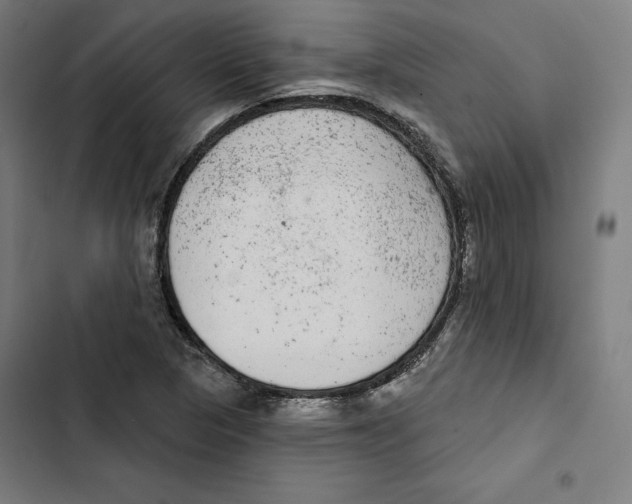 X0000102501313200809051336