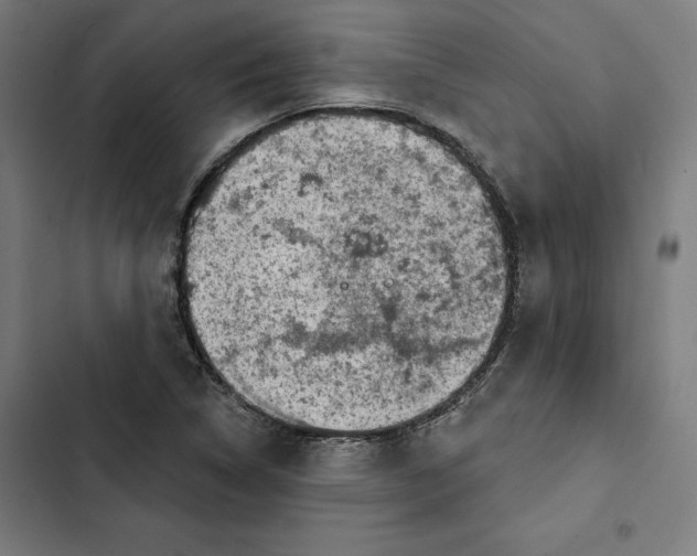 X0000102501314200809051336