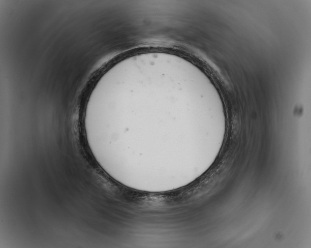 X0000102501315200809051336