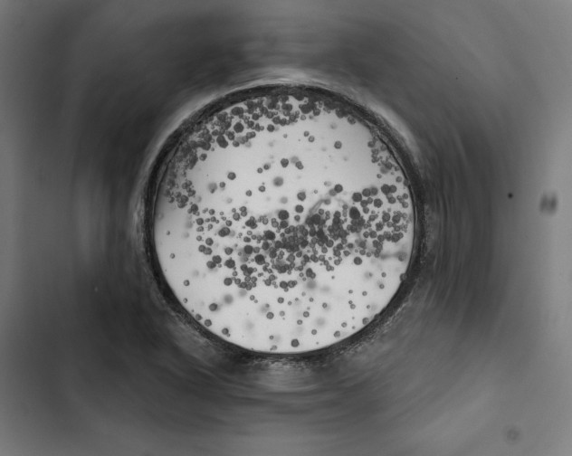 X0000102501318200809051336