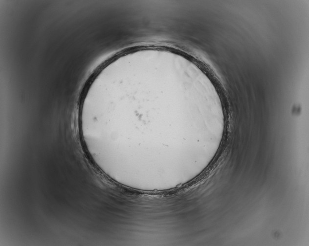 X0000102501320200809051336