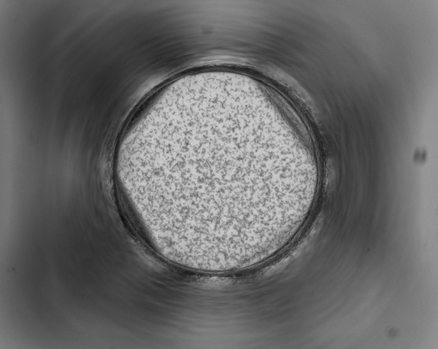 X0000102501321200809051336