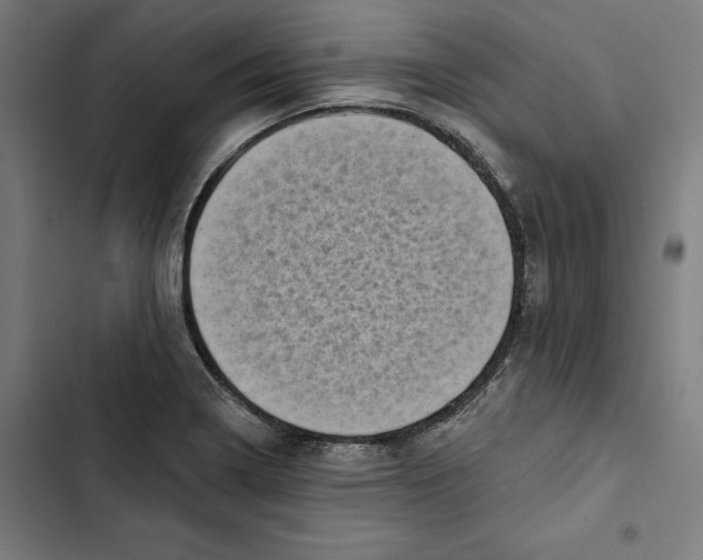 X0000102501322200809051336