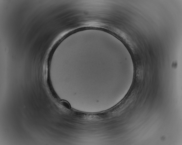 X0000102501323200809051336