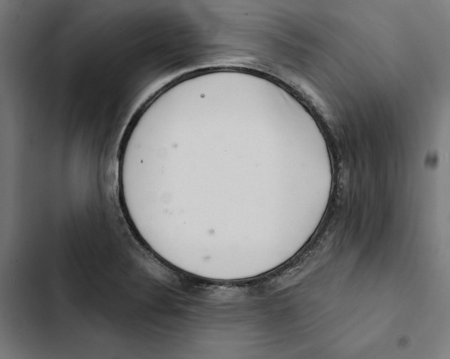 X0000102501324200809051336