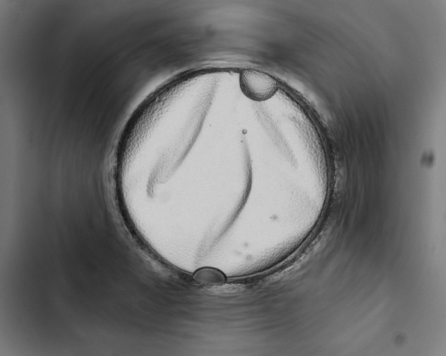 X0000102501325200809051337