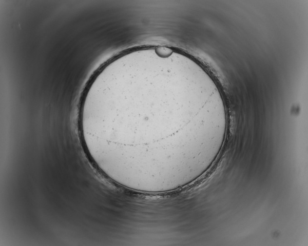 X0000102501326200809051337