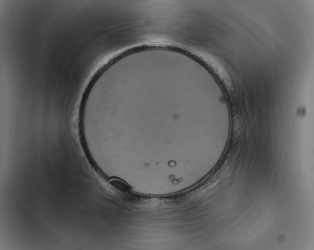 X0000102501327200809051337