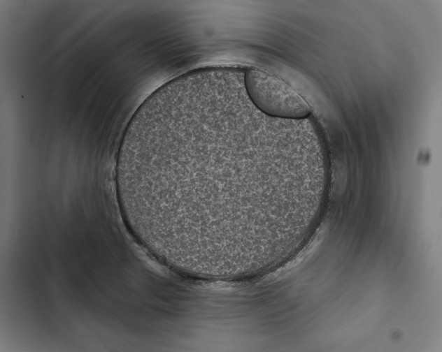 X0000102501329200809051337