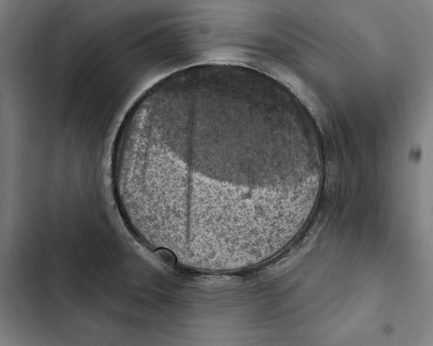 X0000102501331200809051337