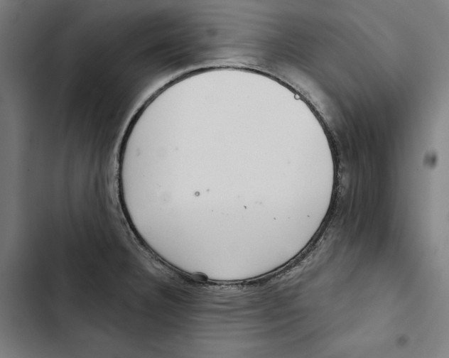 X0000102501332200809051337