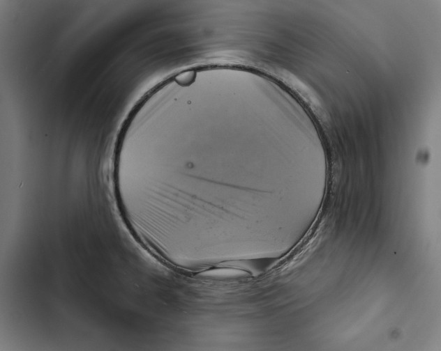 X0000102501334200809051337