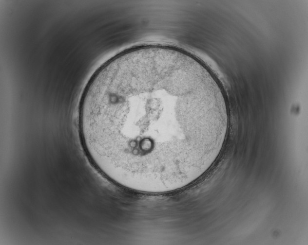 X0000102501335200809051337