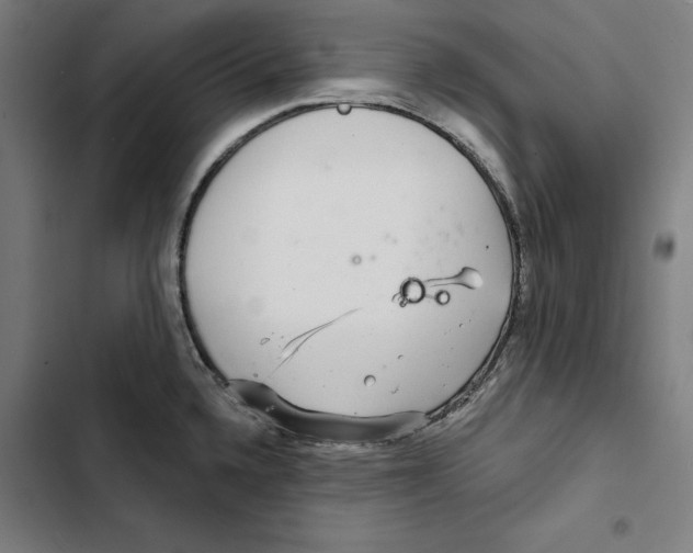 X0000102501336200809051337