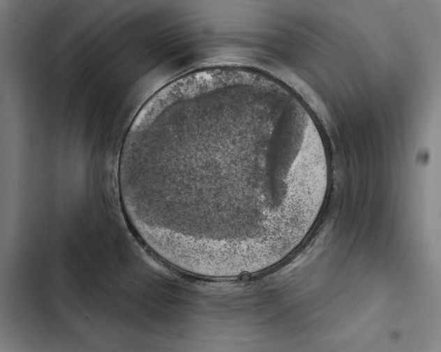 X0000102501337200809051337