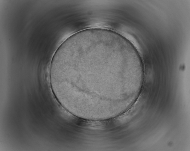 X0000102501338200809051337