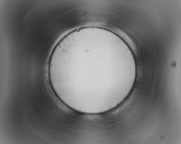 X0000102501340200809051337