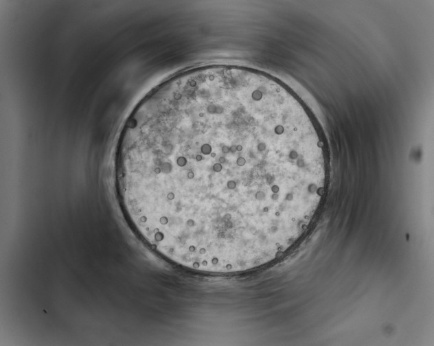 X0000102501341200809051337