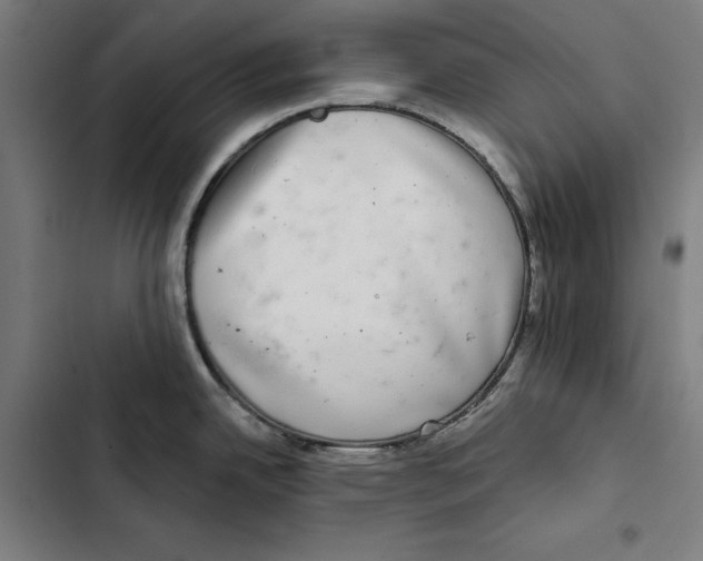 X0000102501342200809051337