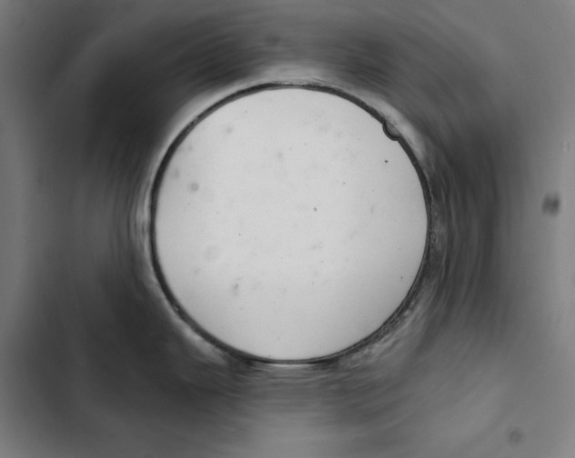 X0000102501343200809051337