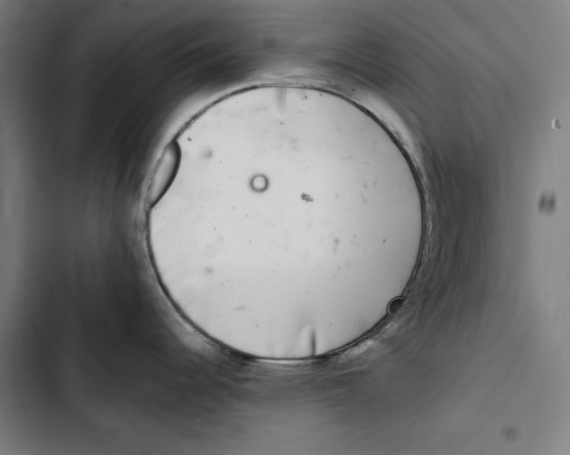 X0000102501344200809051337