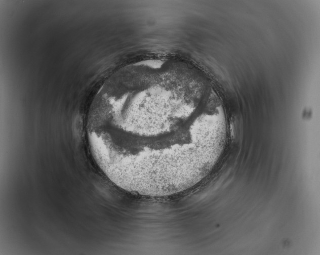 X0000102501347200809051336