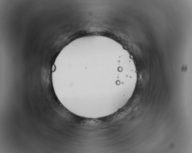 X0000102501348200809051336