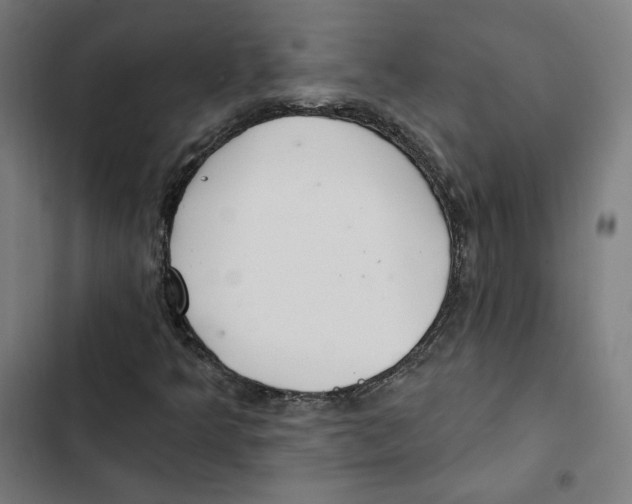 X0000102501349200809051336