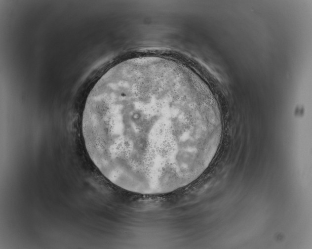 X0000102501351200809051336