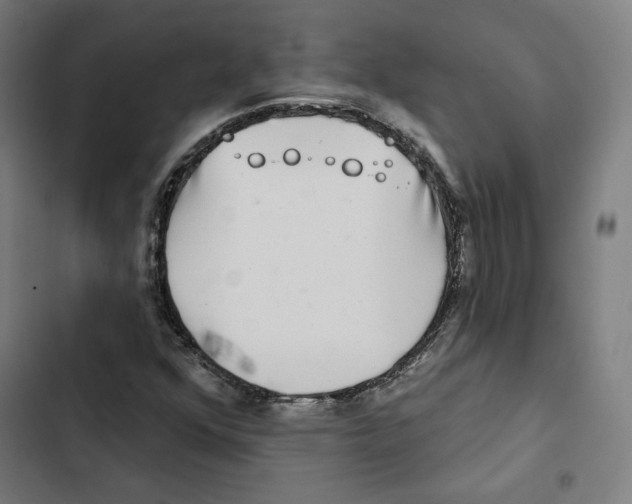 X0000102501352200809051336