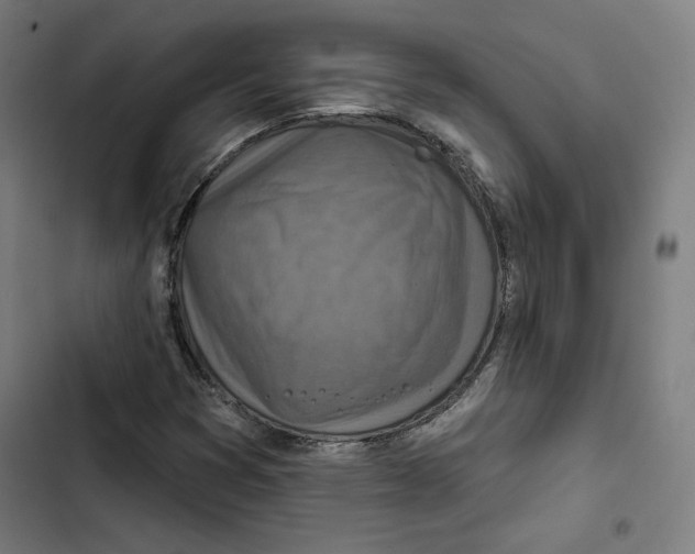 X0000102501353200809051336